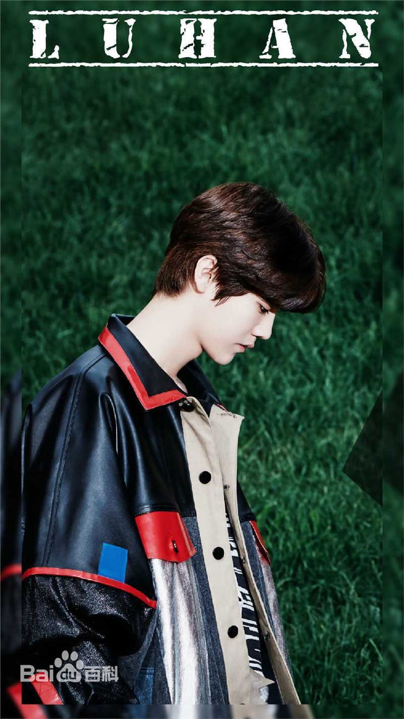 鹿晗(LUHAN)最优质专辑
