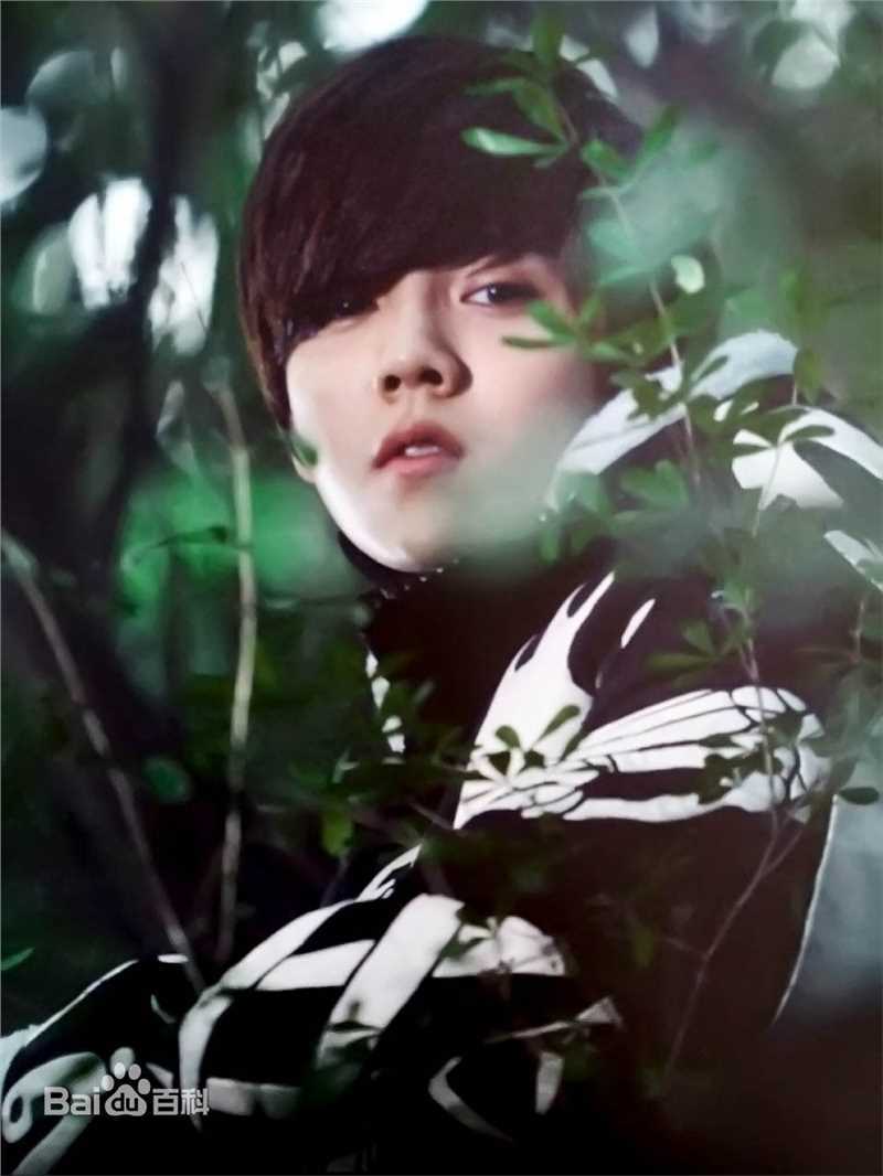 鹿晗(LUHAN)最优质专辑