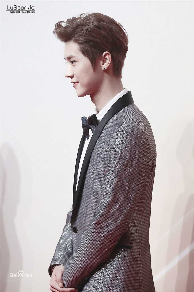 鹿晗(LUHAN)颁奖典礼图册