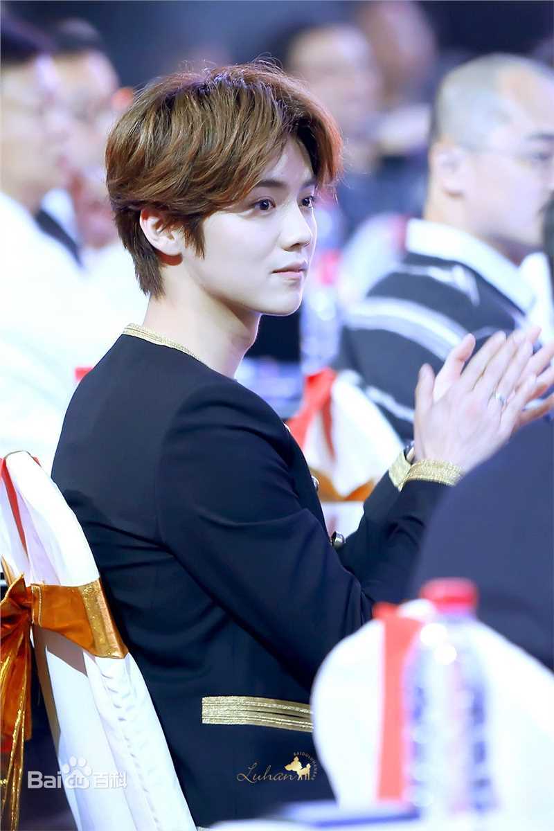 鹿晗(LUHAN)颁奖典礼图册