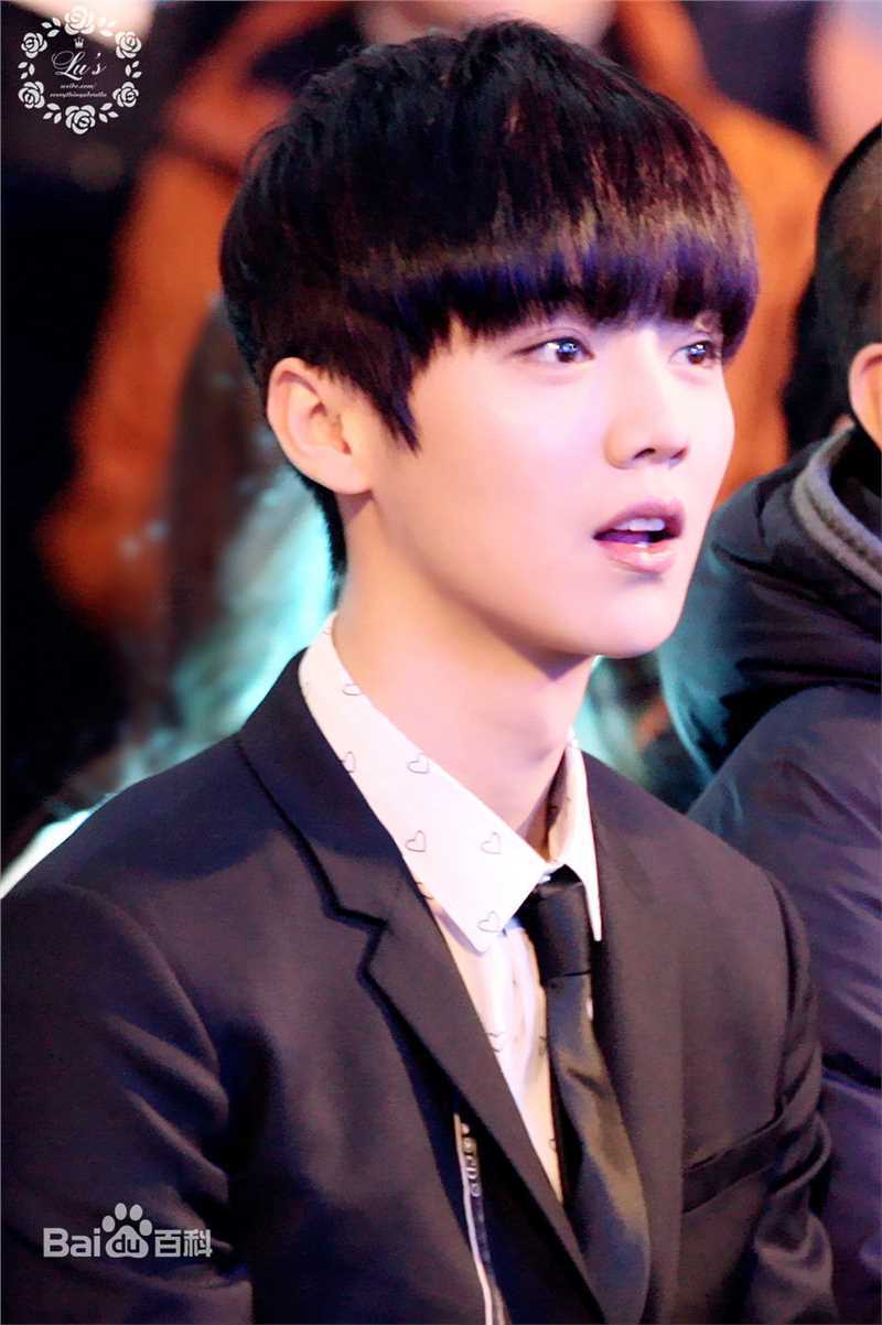 鹿晗(LUHAN)颁奖典礼图册