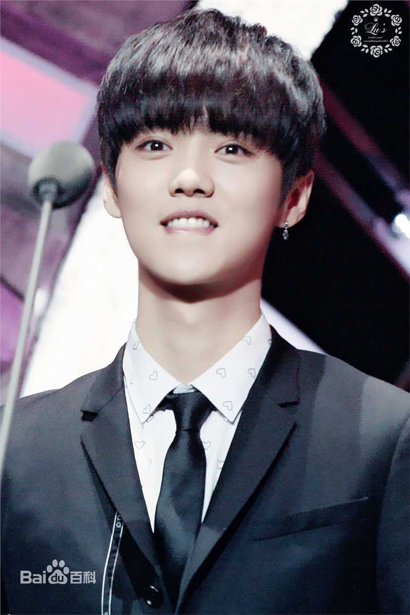 鹿晗(LUHAN)颁奖典礼图册