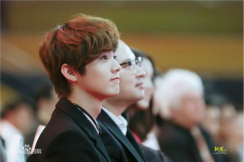 鹿晗(LUHAN)颁奖典礼图册