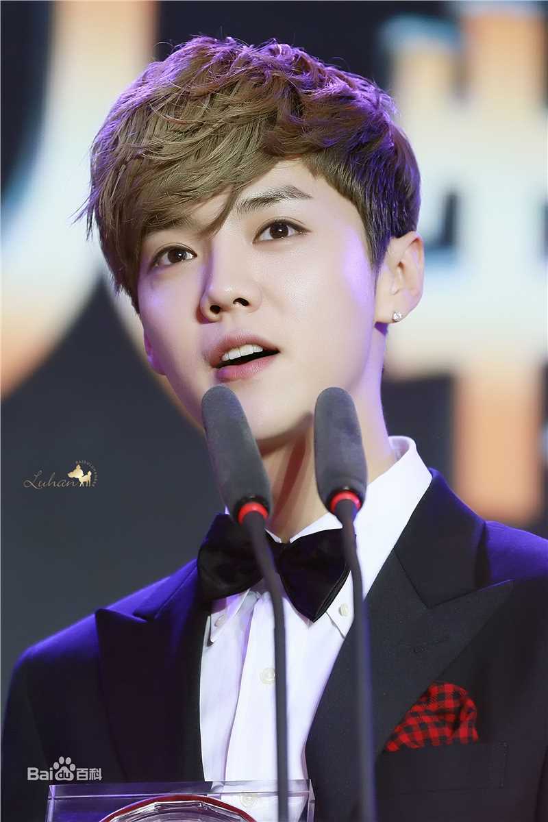 鹿晗(LUHAN)颁奖典礼图册