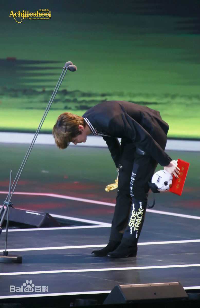 鹿晗(LUHAN)颁奖典礼图册