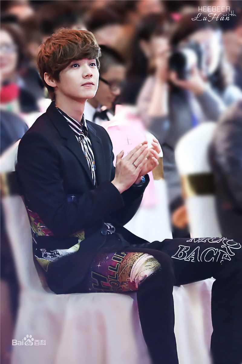 鹿晗(LUHAN)颁奖典礼图册