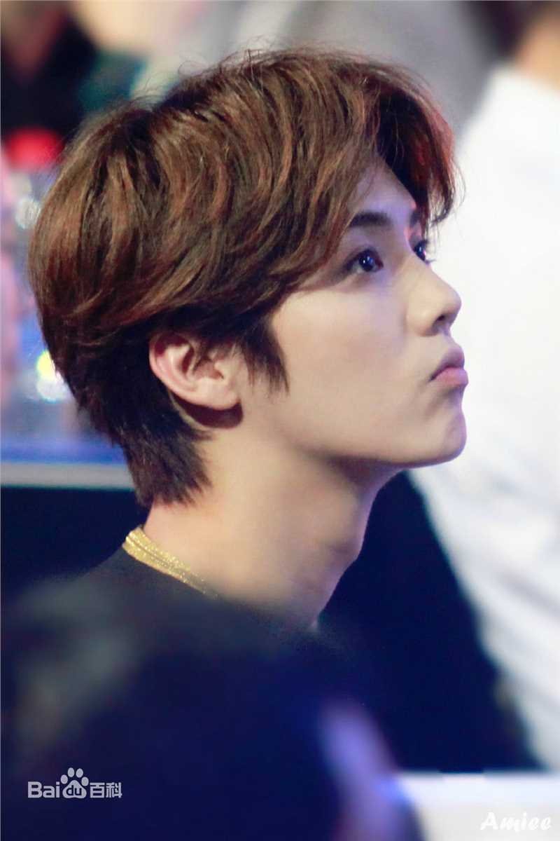 鹿晗(LUHAN)颁奖典礼图册