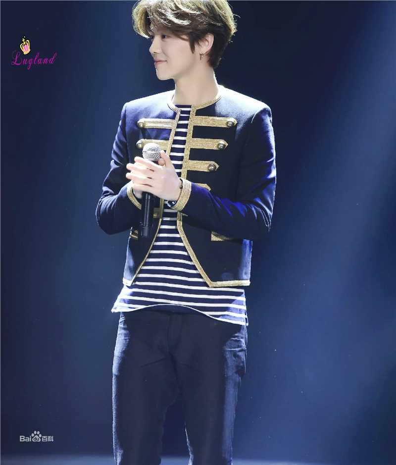 鹿晗(LUHAN)颁奖典礼图册