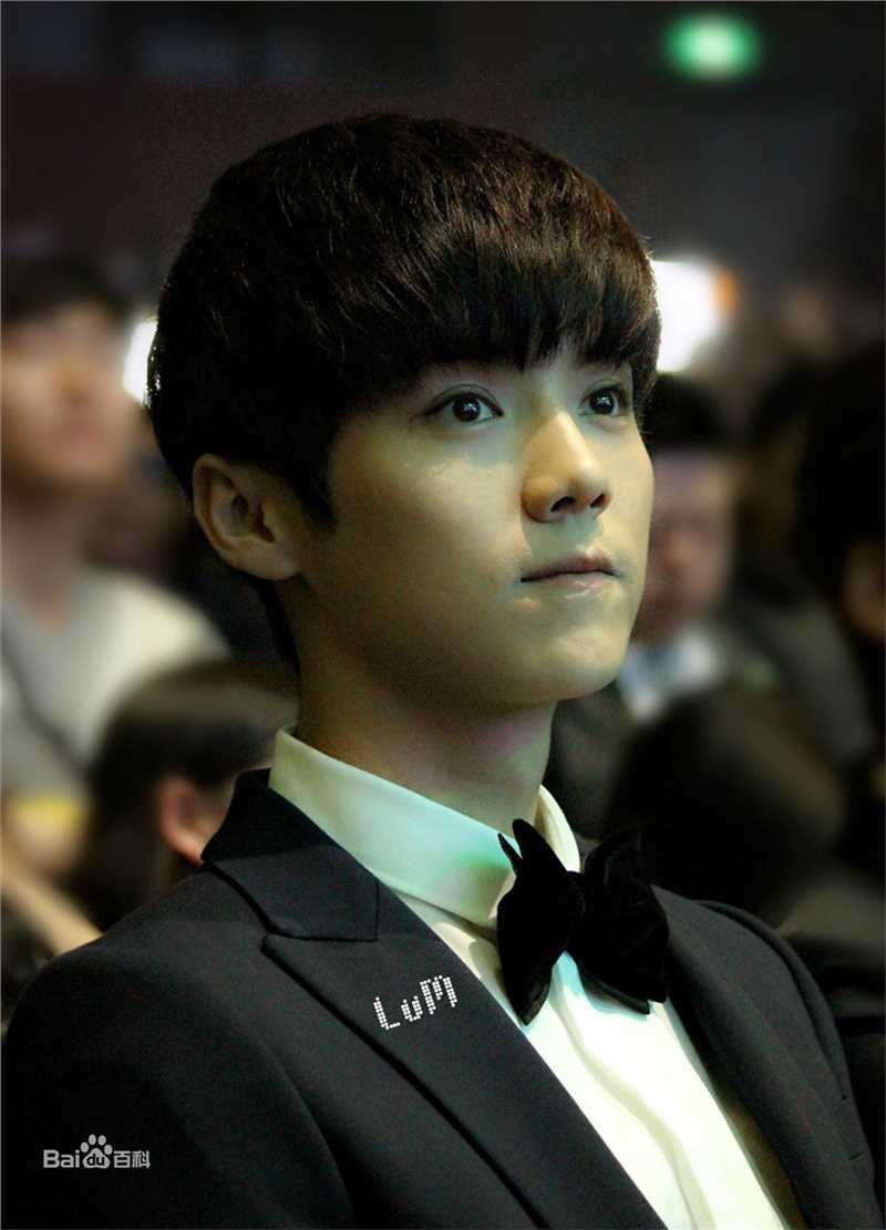 鹿晗(LUHAN)颁奖典礼图册