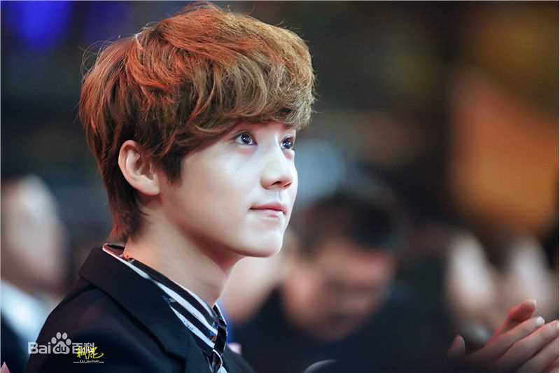 鹿晗(LUHAN)颁奖典礼图册