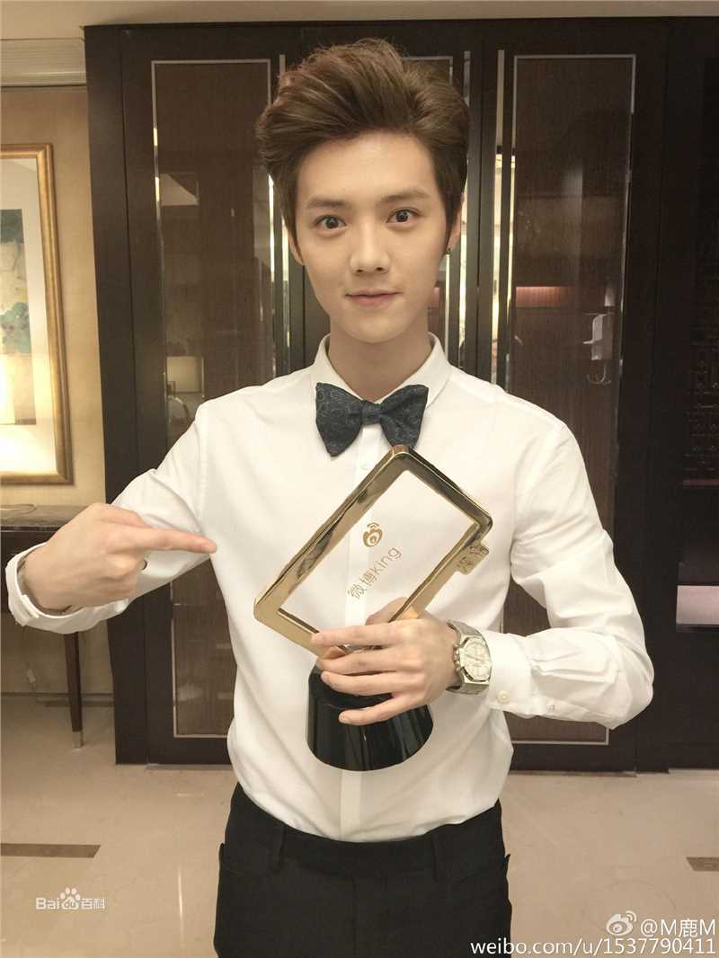 鹿晗(LUHAN)颁奖典礼图册