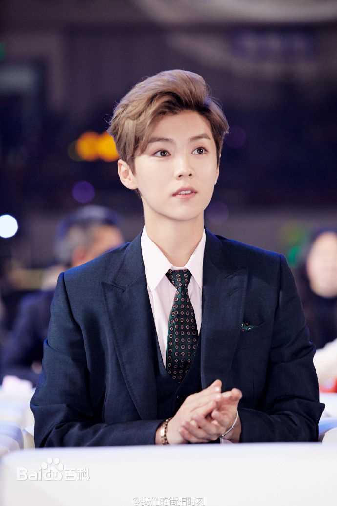 鹿晗(LUHAN)颁奖典礼图册