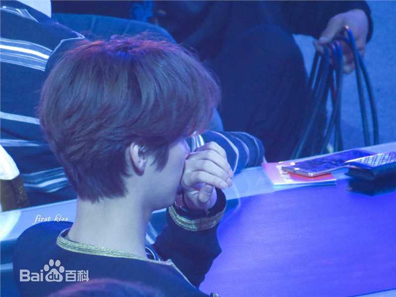 鹿晗(LUHAN)颁奖典礼图册