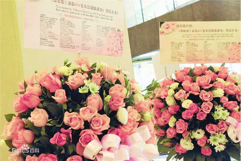 鹿晗(LUHAN)粉丝应援图册