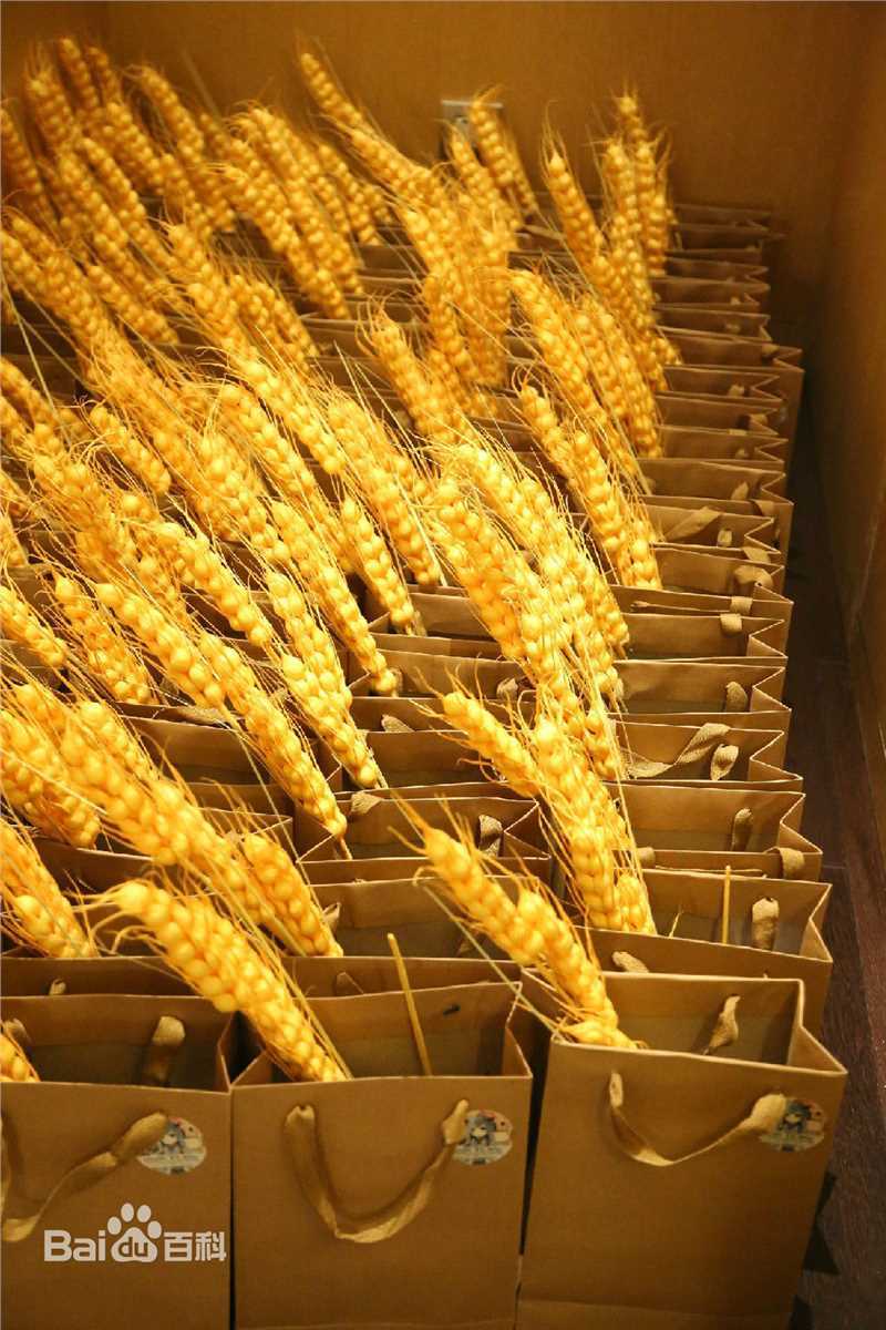 鹿晗(LUHAN)粉丝应援图册