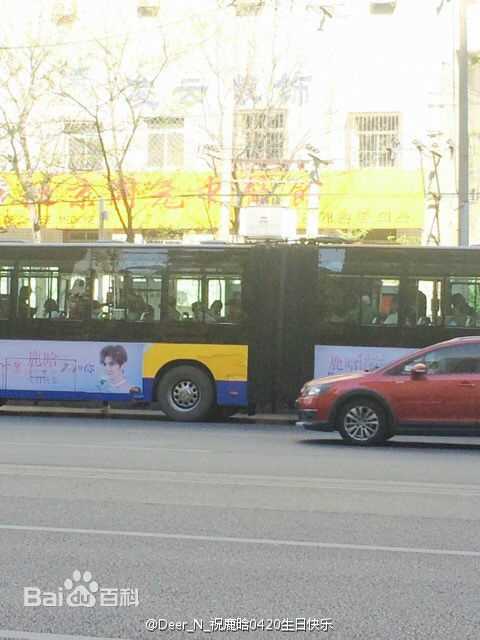 鹿晗(LUHAN)粉丝应援图册