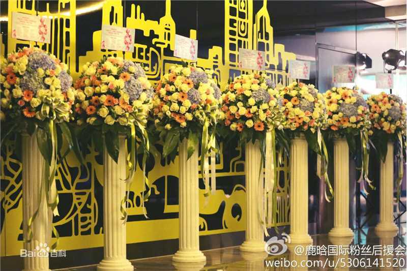 鹿晗(LUHAN)粉丝应援图册