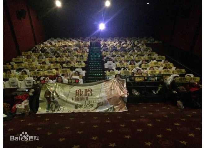 鹿晗(LUHAN)粉丝应援图册