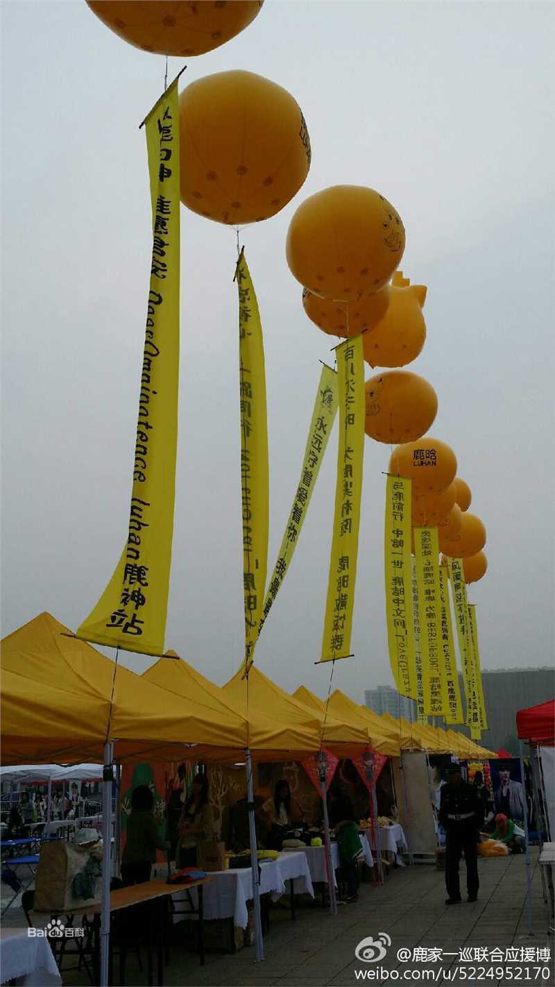 鹿晗(LUHAN)粉丝应援图册