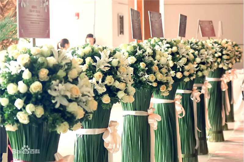 鹿晗(LUHAN)粉丝应援图册