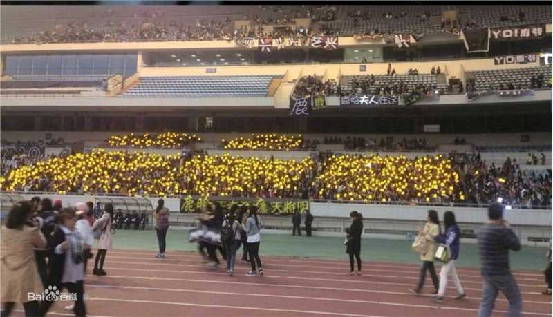 鹿晗(LUHAN)粉丝应援图册