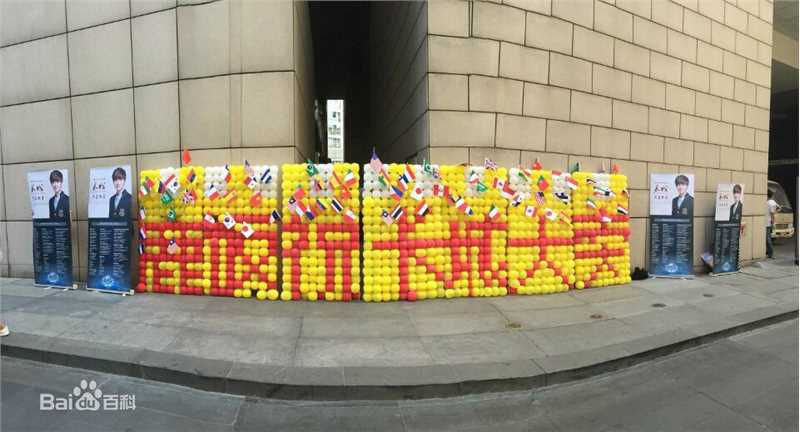 鹿晗(LUHAN)粉丝应援图册