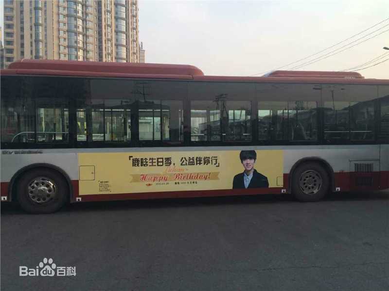 鹿晗(LUHAN)粉丝应援图册