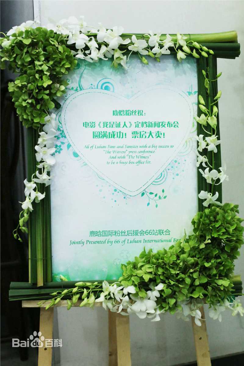 鹿晗(LUHAN)粉丝应援图册