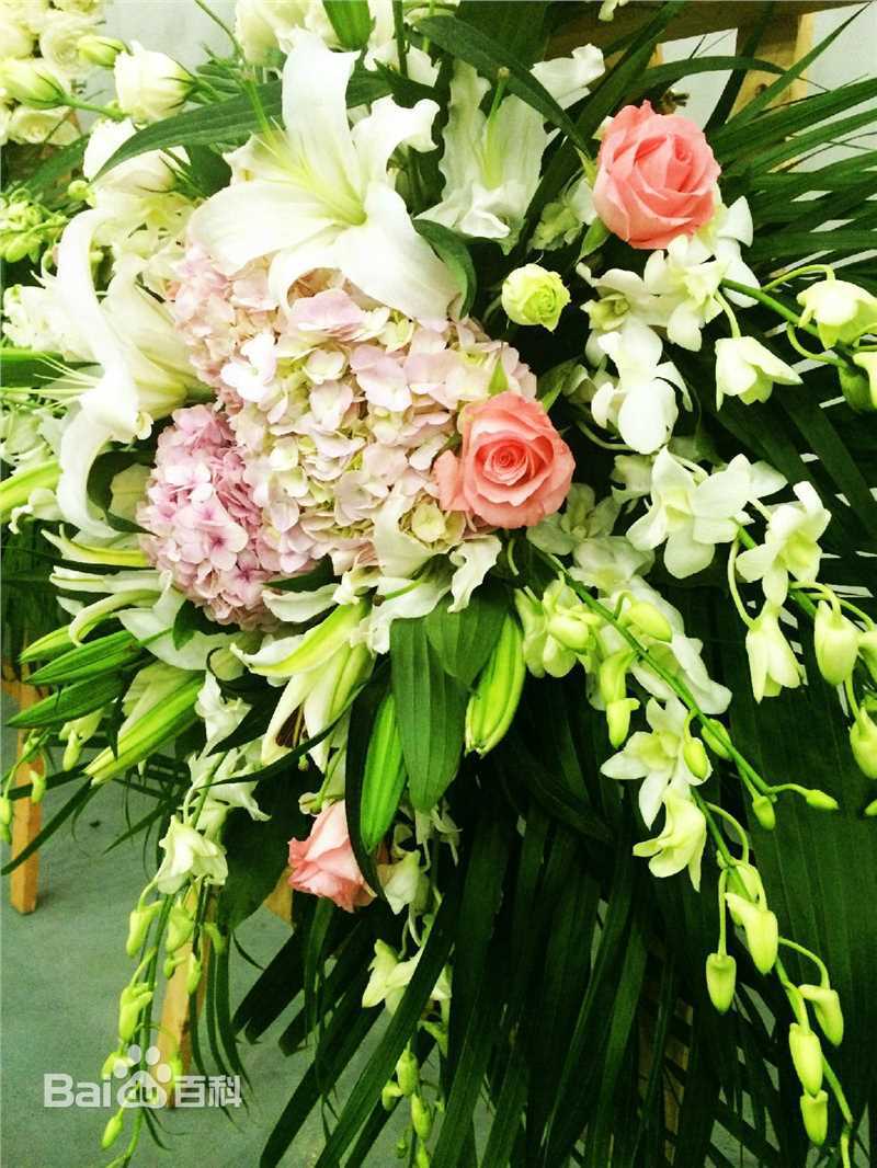 鹿晗(LUHAN)粉丝应援图册