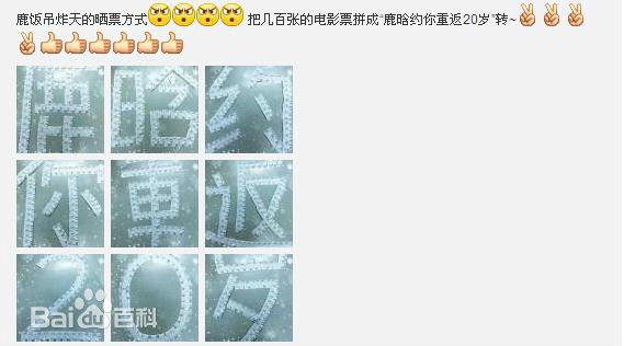 鹿晗(LUHAN)粉丝应援图册