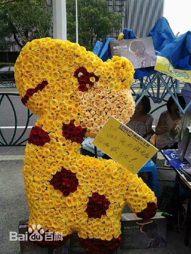 鹿晗(LUHAN)粉丝应援图册