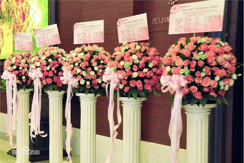 鹿晗(LUHAN)粉丝应援图册