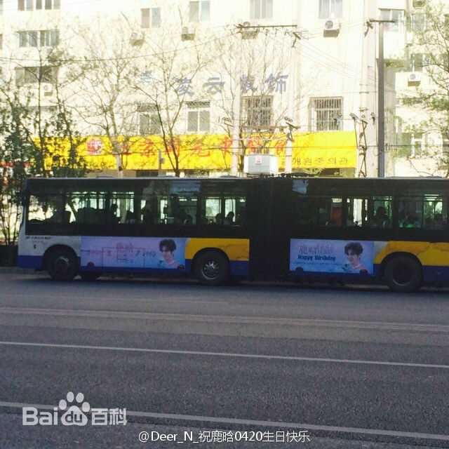 鹿晗(LUHAN)粉丝应援图册