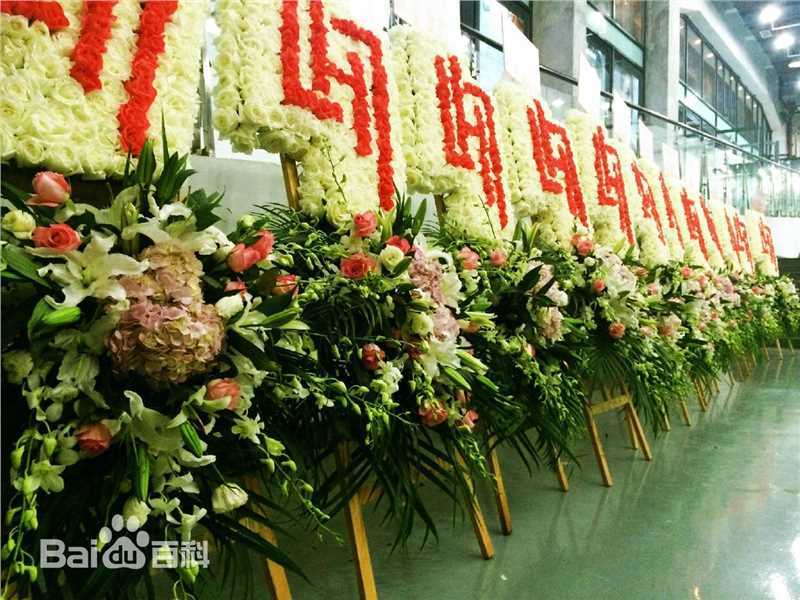 鹿晗(LUHAN)粉丝应援图册