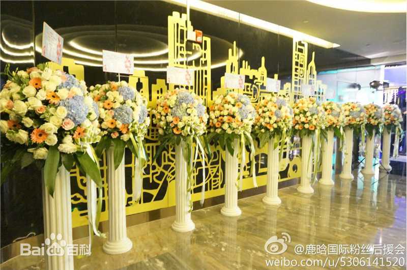 鹿晗(LUHAN)粉丝应援图册