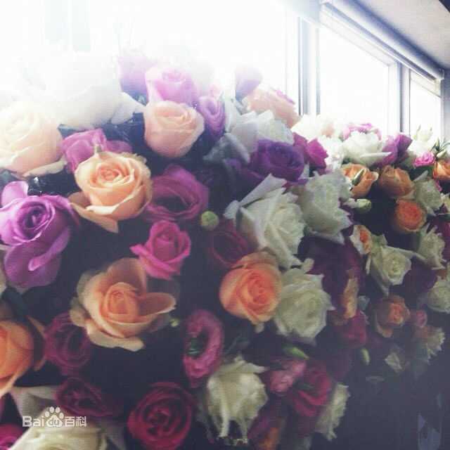 鹿晗(LUHAN)粉丝应援图册