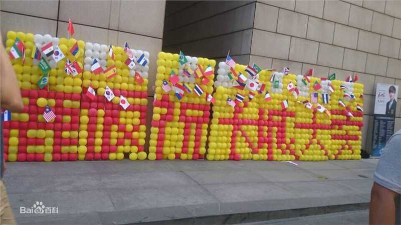 鹿晗(LUHAN)粉丝应援图册