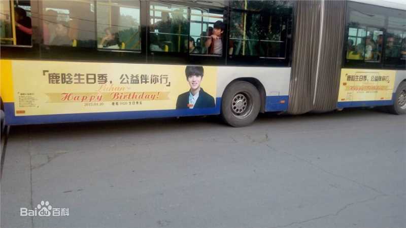 鹿晗(LUHAN)粉丝应援图册