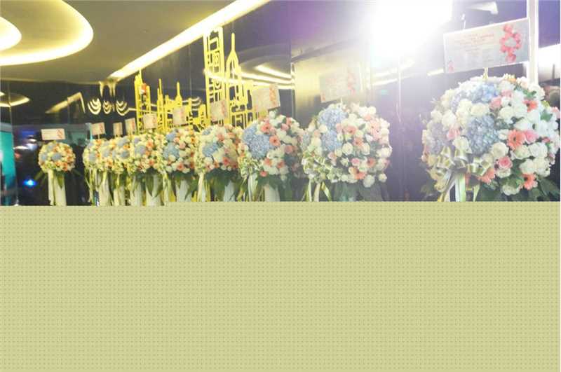 鹿晗(LUHAN)粉丝应援图册