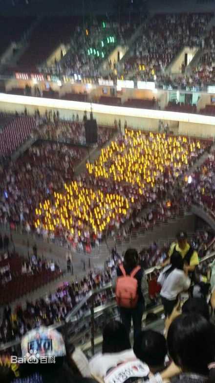 鹿晗(LUHAN)粉丝应援图册