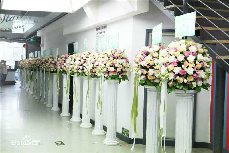 鹿晗(LUHAN)粉丝应援图册