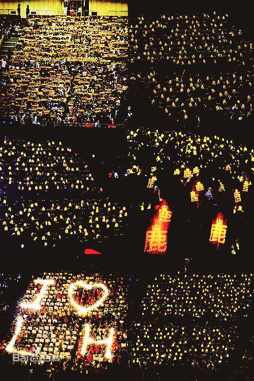 鹿晗(LUHAN)粉丝应援图册