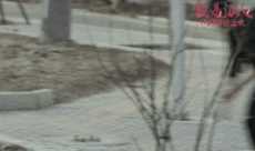 鹿晗(LUHAN)体育全能壁纸壁纸