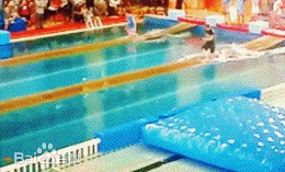 鹿晗(LUHAN)体育全能壁纸壁纸