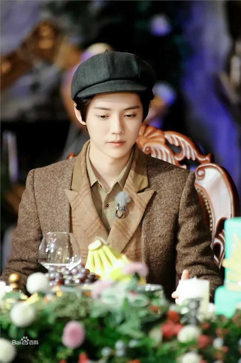 鹿晗(LUHAN)综艺节目图册