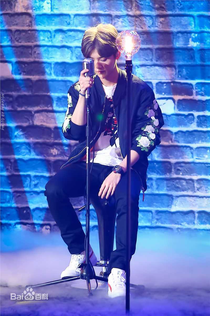 鹿晗(LUHAN)综艺节目图册