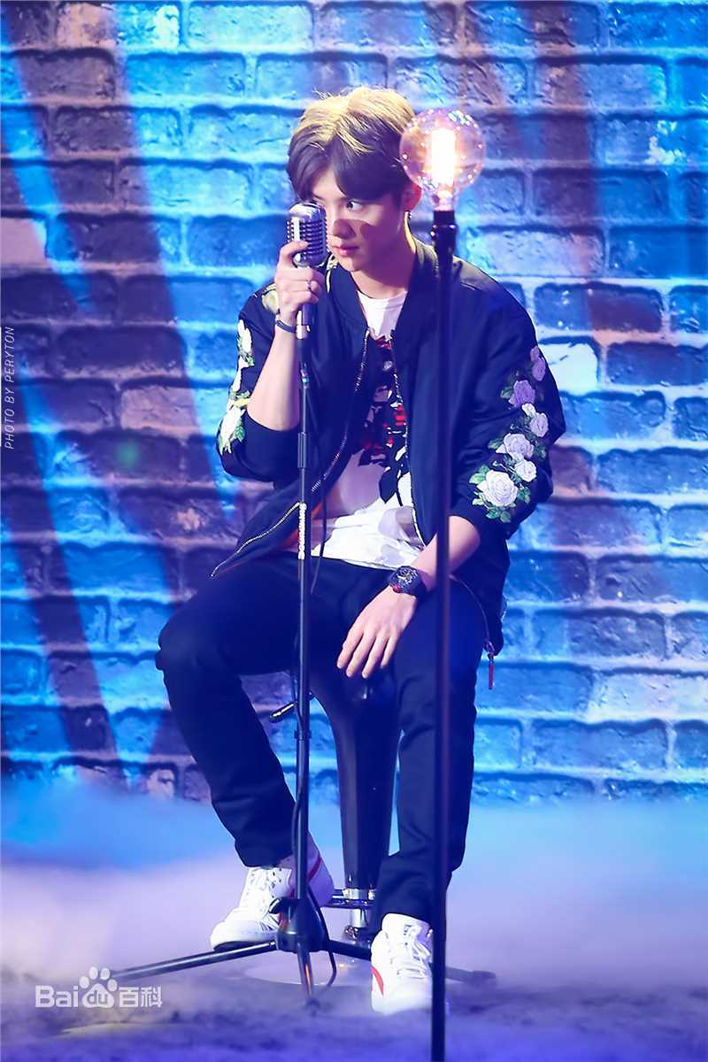 鹿晗(LUHAN)综艺节目图册