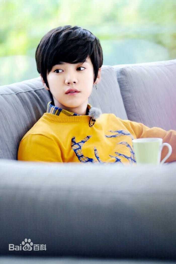 鹿晗(LUHAN)综艺节目图册