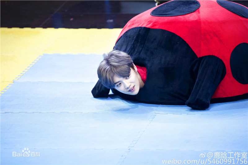 鹿晗(LUHAN)综艺节目图册