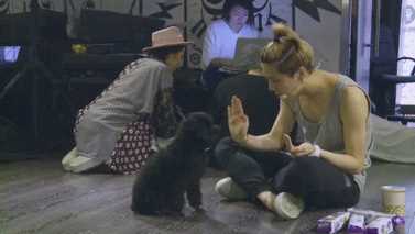 最新鹿晗(LUHAN)在《你好，是吗》中的壁纸